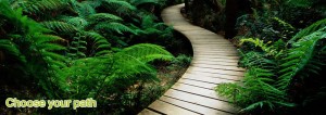 serene-nature_chose_path_960x340