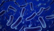 Kurunga – mūsdienīgs probiotiķis bērniem un pieaugušajiem